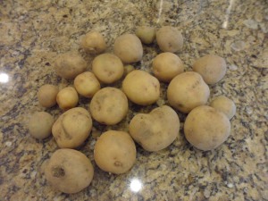 Potatoes-7-18