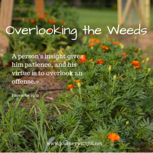 Overlooking the Weeds(1)